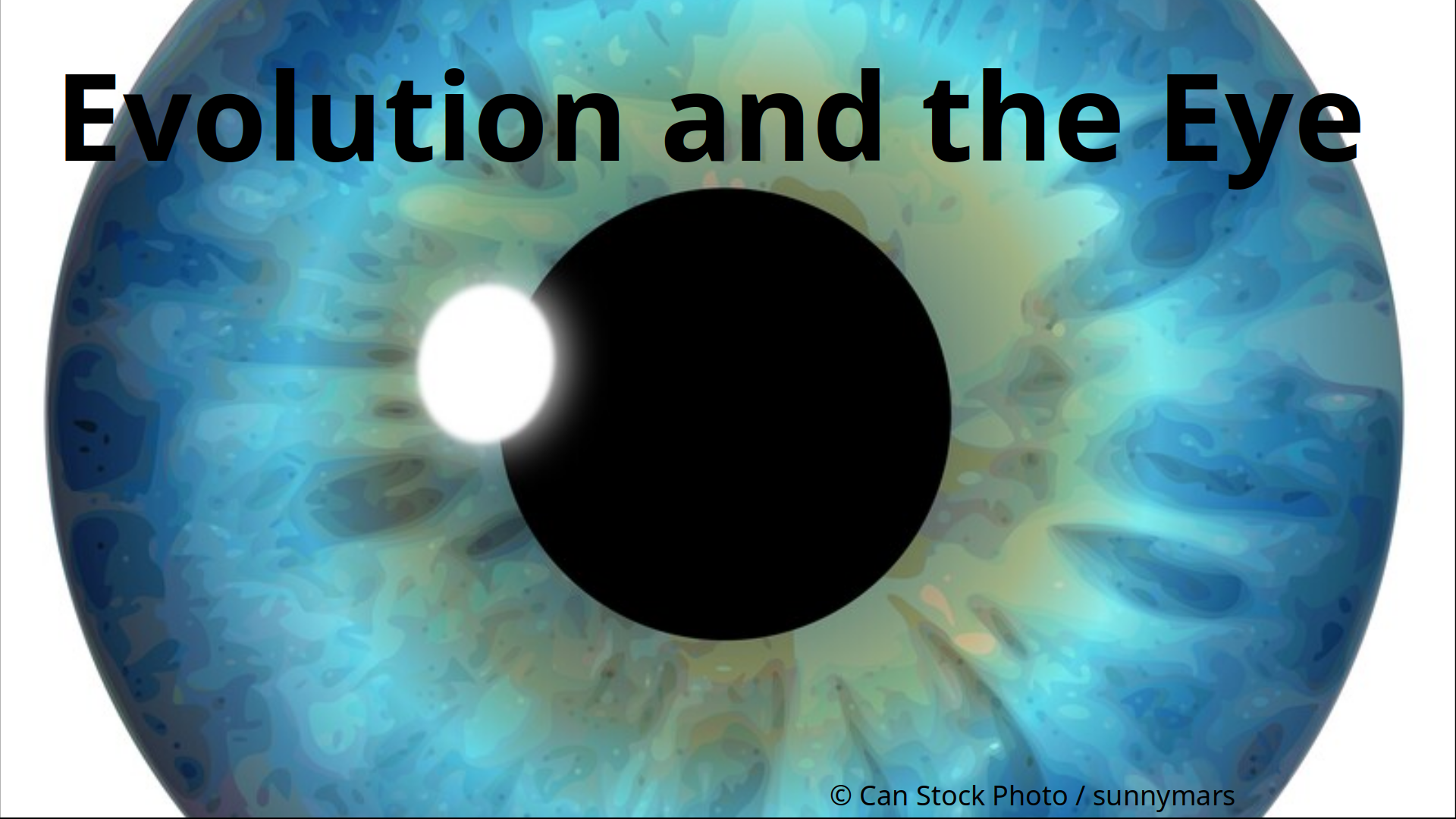 A closeup photograph of an eye with the title caption over it.