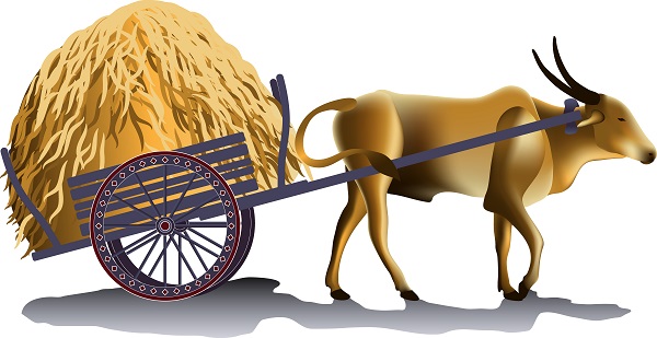 Ox Cart